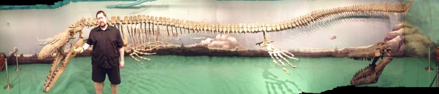 Guinness World Record Largest Mosasaur