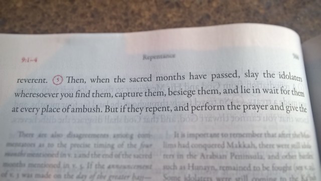 wp_20161113_16_12_32_pro_21